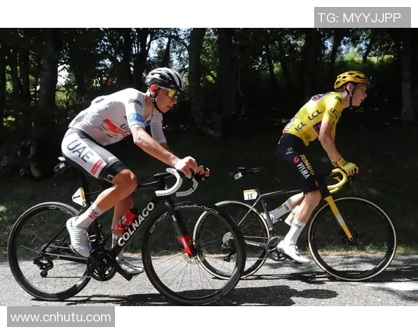 波加查与足球明星的跨界合作与友谊故事探秘